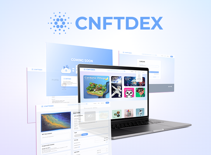 CNFTDEX 반응형 웹